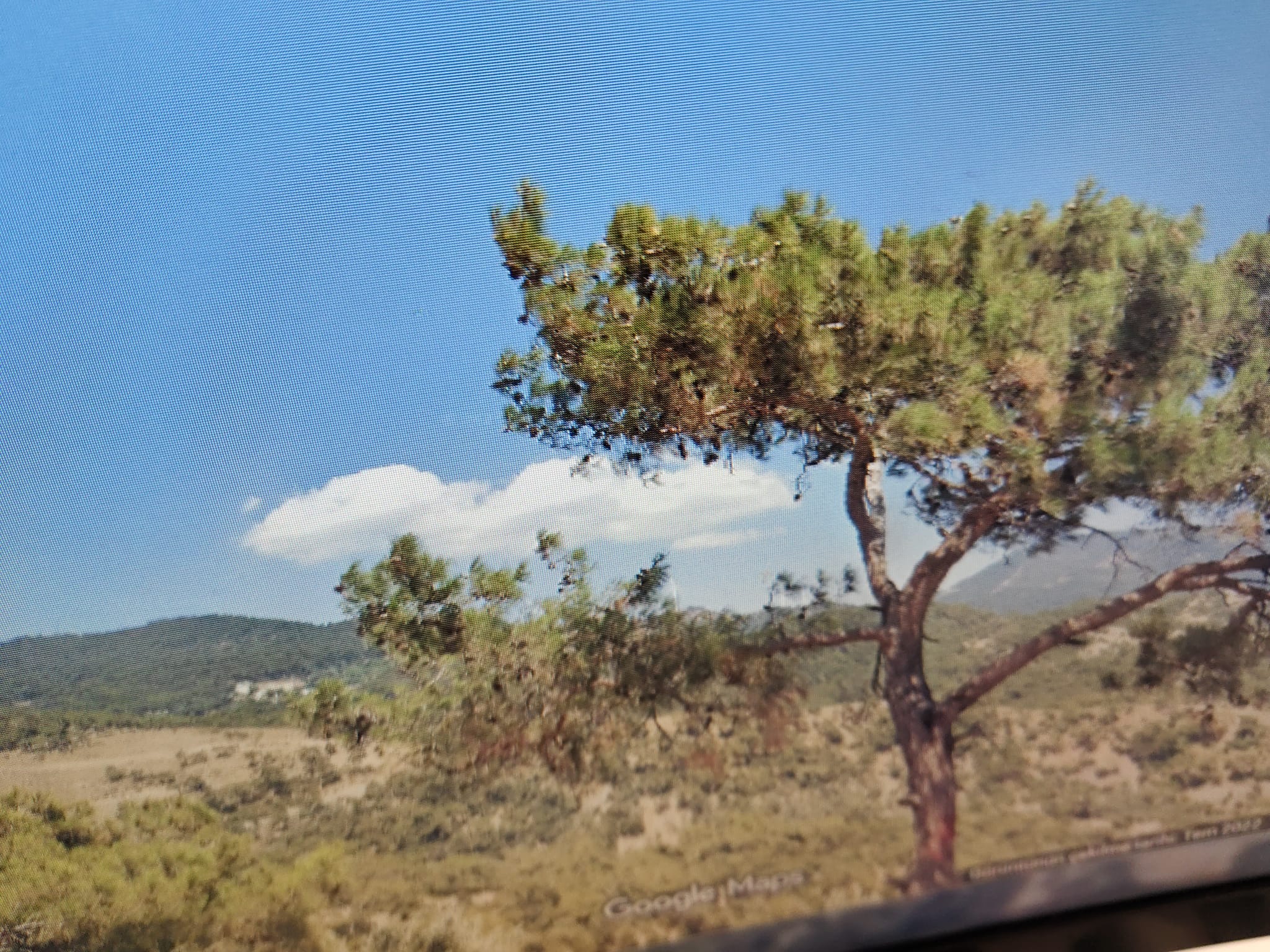 d28854ca-6d86-412c-8439-1c2fb1eb4836