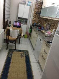 54cea153-1b97-4de9-a8bc-ce7f146f1184 (Small)