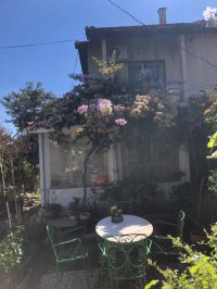 6396c5ef-1ca3-4e74-9c32-8a25232fc6b0 (Small)