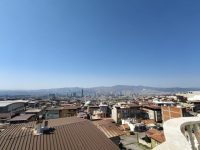 8651c80c-cfc2-40df-8bdf-fad7ce217979 (Small)