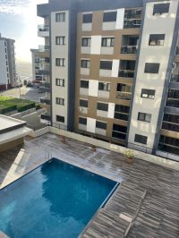 a739e91a-364c-4211-9f08-adf19e1daf8b (Small)