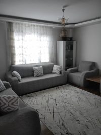 b2b3541b-a7b0-4381-ac34-108a075da8ae (Small)