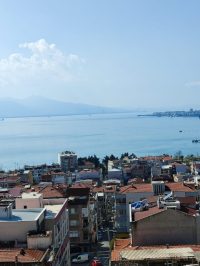 c598b94d-cd40-4b7d-b10d-6f80ef77f316 (Small)