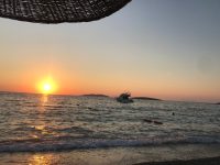 fb85167f-3986-426d-b0eb-a6c0df5c2774 (Small)